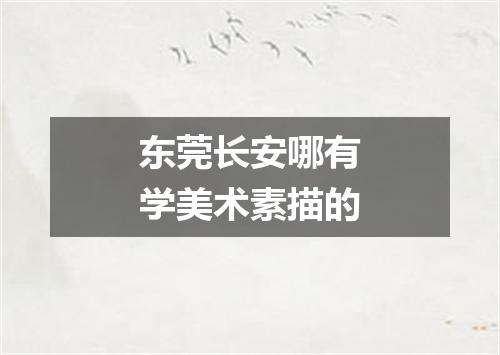 东莞长安哪有学美术素描的