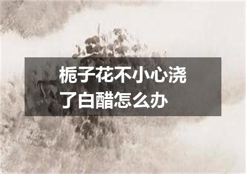 栀子花不小心浇了白醋怎么办