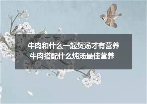 牛肉和什么一起煲汤才有营养 牛肉搭配什么炖汤最佳营养