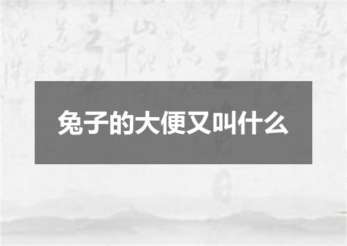 兔子的大便又叫什么
