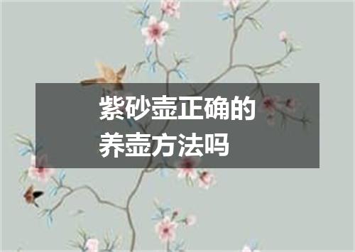紫砂壶正确的养壶方法吗