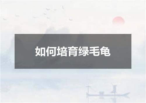 如何培育绿毛龟