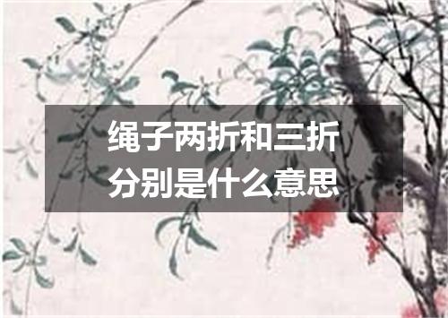 绳子两折和三折分别是什么意思