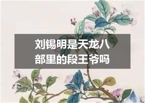 刘锡明是天龙八部里的段王爷吗