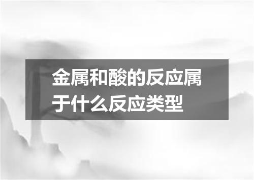 金属和酸的反应属于什么反应类型