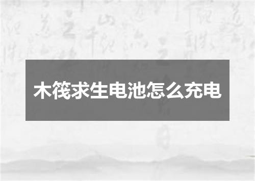 木筏求生电池怎么充电
