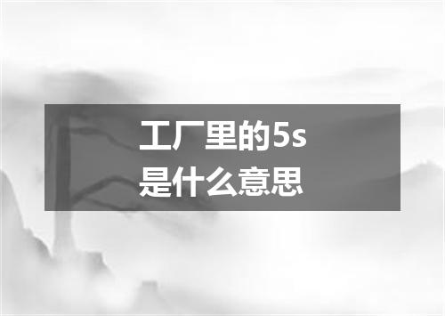 工厂里的5s是什么意思