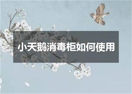 小天鹅消毒柜如何使用