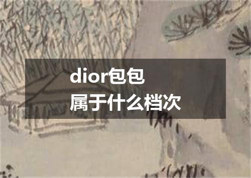 dior包包属于什么档次