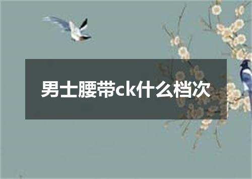 男士腰带ck什么档次