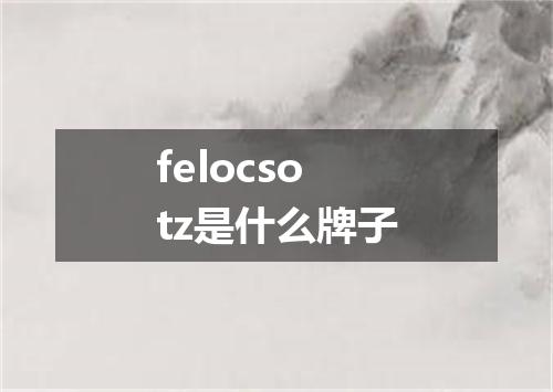 felocsotz是什么牌子