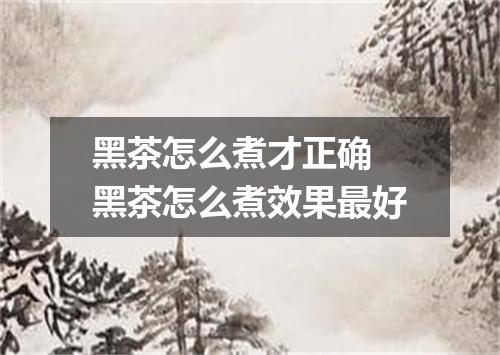 黑茶怎么煮才正确 黑茶怎么煮效果最好