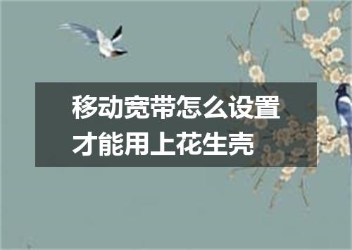 移动宽带怎么设置才能用上花生壳