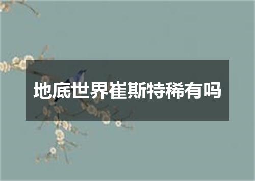 地底世界崔斯特稀有吗