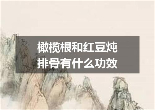 橄榄根和红豆炖排骨有什么功效