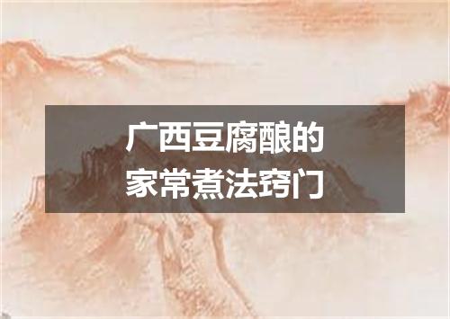 广西豆腐酿的家常煮法窍门