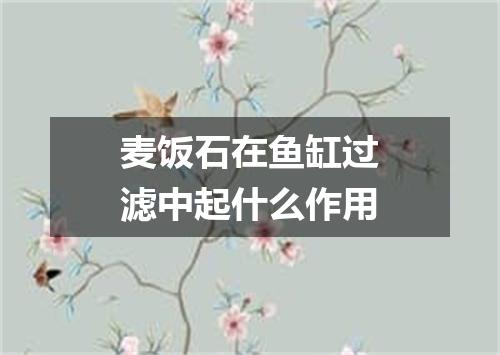 麦饭石在鱼缸过滤中起什么作用