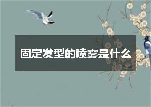 固定发型的喷雾是什么