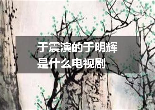 于震演的于明辉是什么电视剧