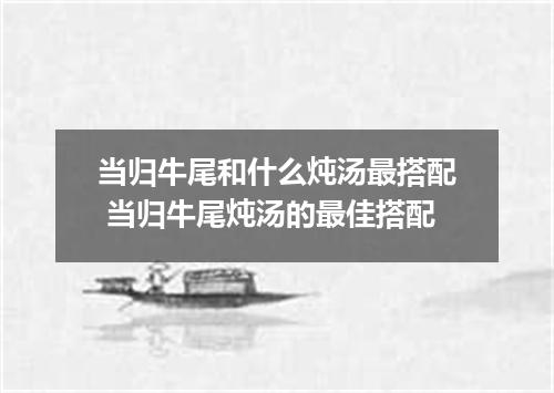 当归牛尾和什么炖汤最搭配 当归牛尾炖汤的最佳搭配