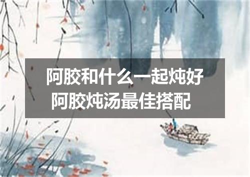 阿胶和什么一起炖好 阿胶炖汤最佳搭配