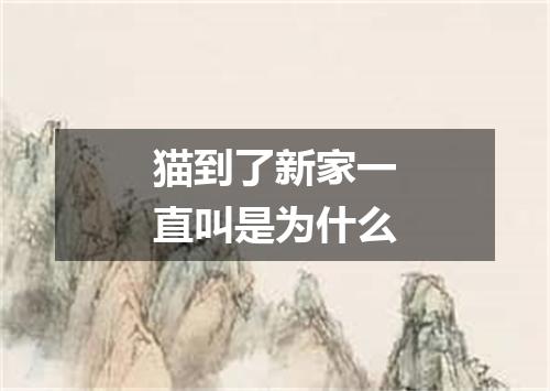 猫到了新家一直叫是为什么