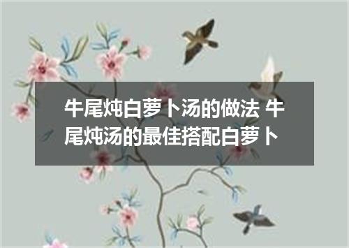 牛尾炖白萝卜汤的做法 牛尾炖汤的最佳搭配白萝卜