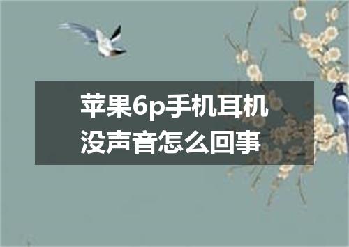 苹果6p手机耳机没声音怎么回事