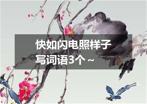 快如闪电照样子写词语3个～