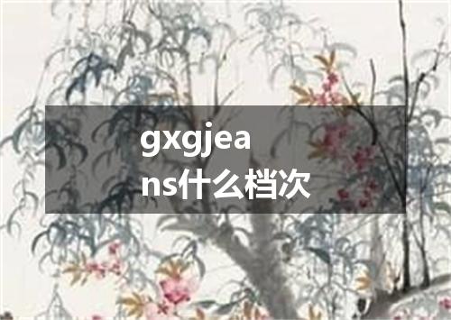 gxgjeans什么档次