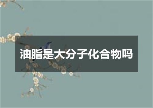 油脂是大分子化合物吗