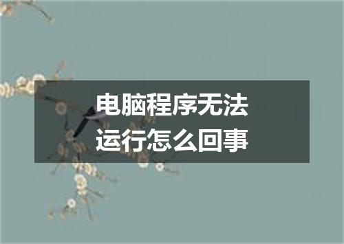 电脑程序无法运行怎么回事