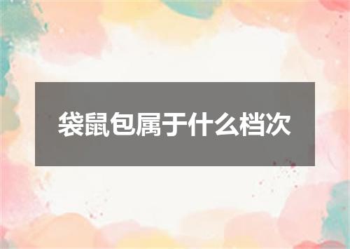 袋鼠包属于什么档次