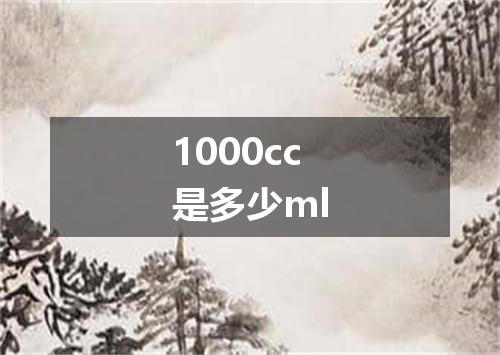 1000cc是多少ml
