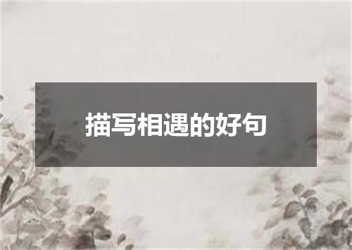 描写相遇的好句