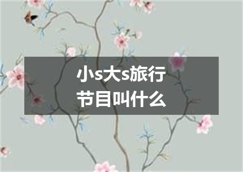小s大s旅行节目叫什么