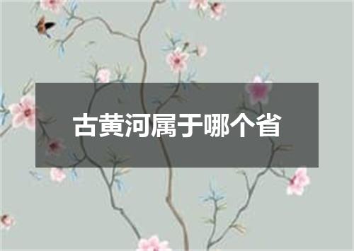 古黄河属于哪个省