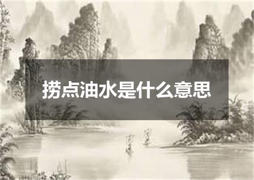 捞点油水是什么意思