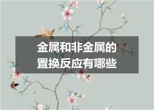 金属和非金属的置换反应有哪些