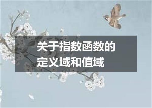 关于指数函数的定义域和值域