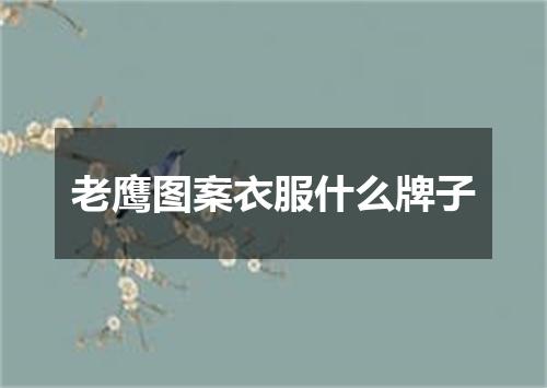 老鹰图案衣服什么牌子