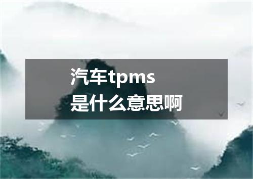 汽车tpms是什么意思啊