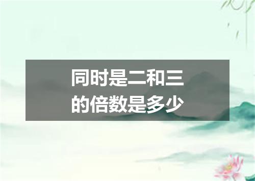 同时是二和三的倍数是多少