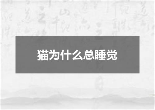 猫为什么总睡觉