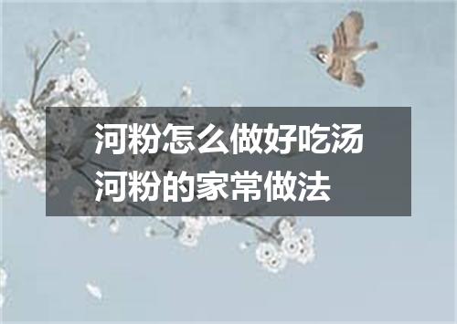 河粉怎么做好吃汤河粉的家常做法