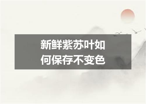 新鲜紫苏叶如何保存不变色