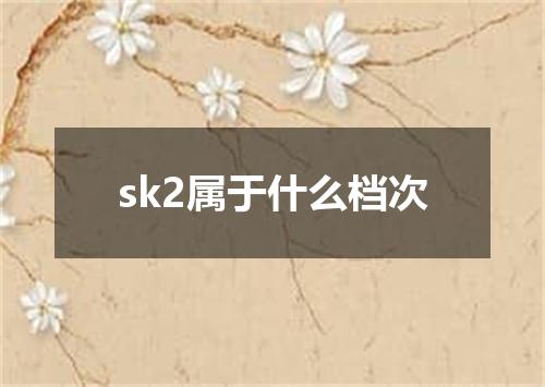 sk2属于什么档次