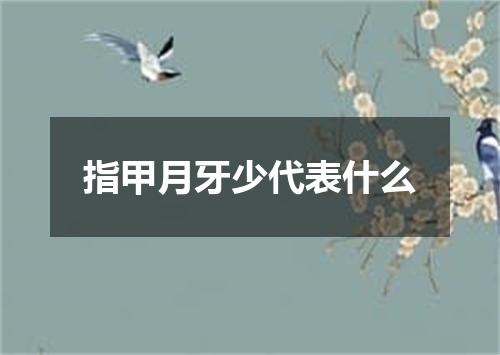 指甲月牙少代表什么