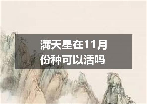 满天星在11月份种可以活吗