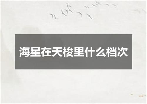 海星在天梭里什么档次